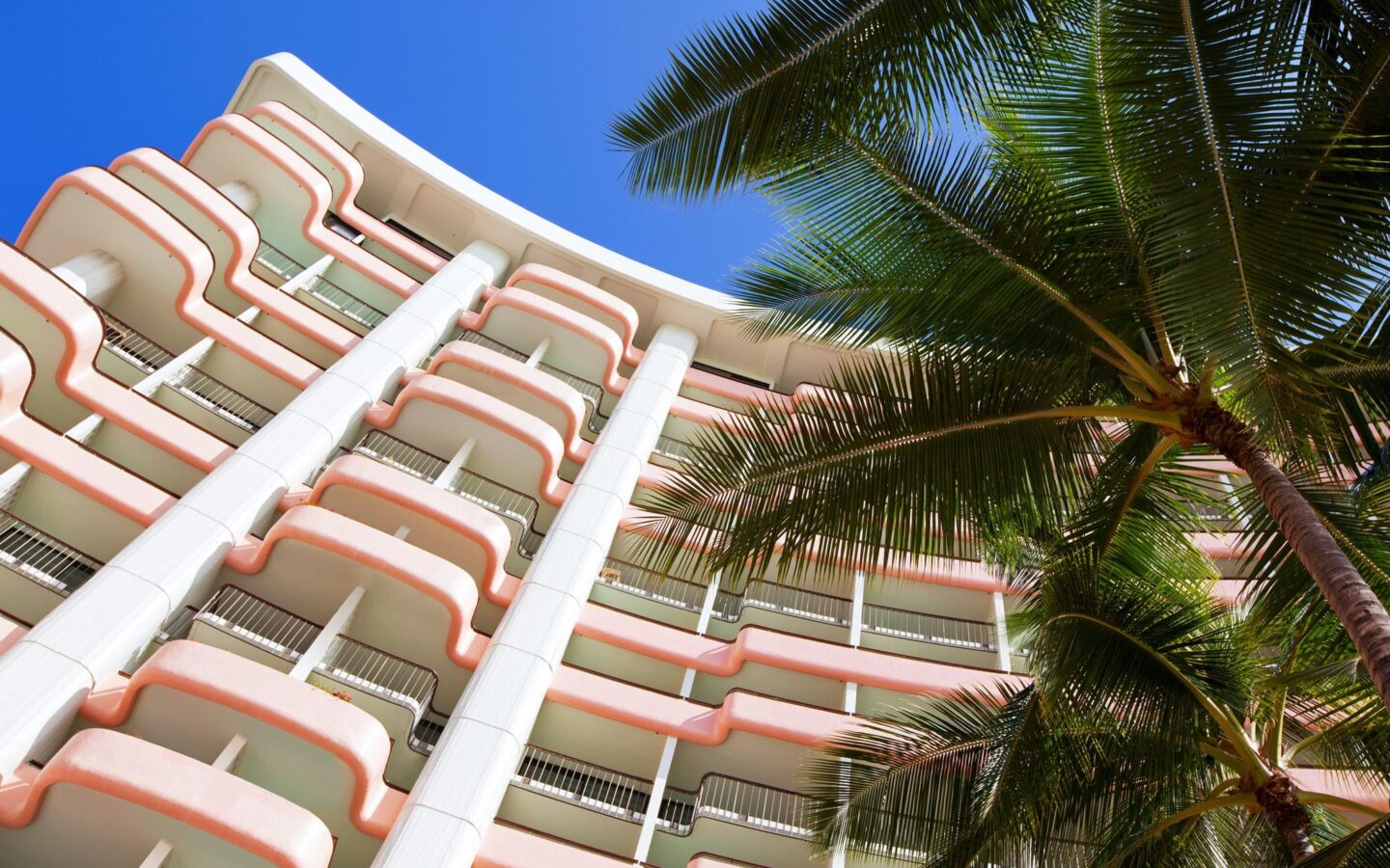 white and pink building with palm tree