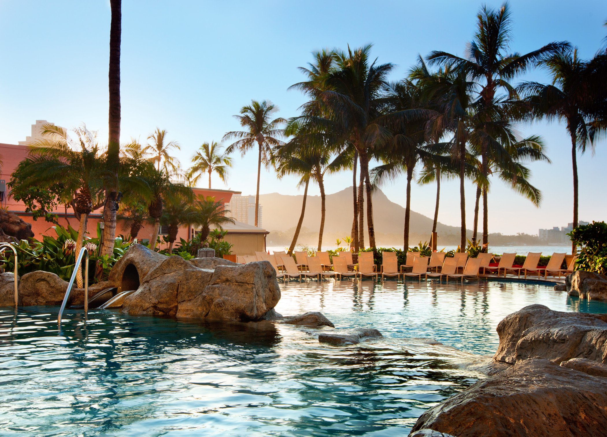 green coconut palm trees around pool