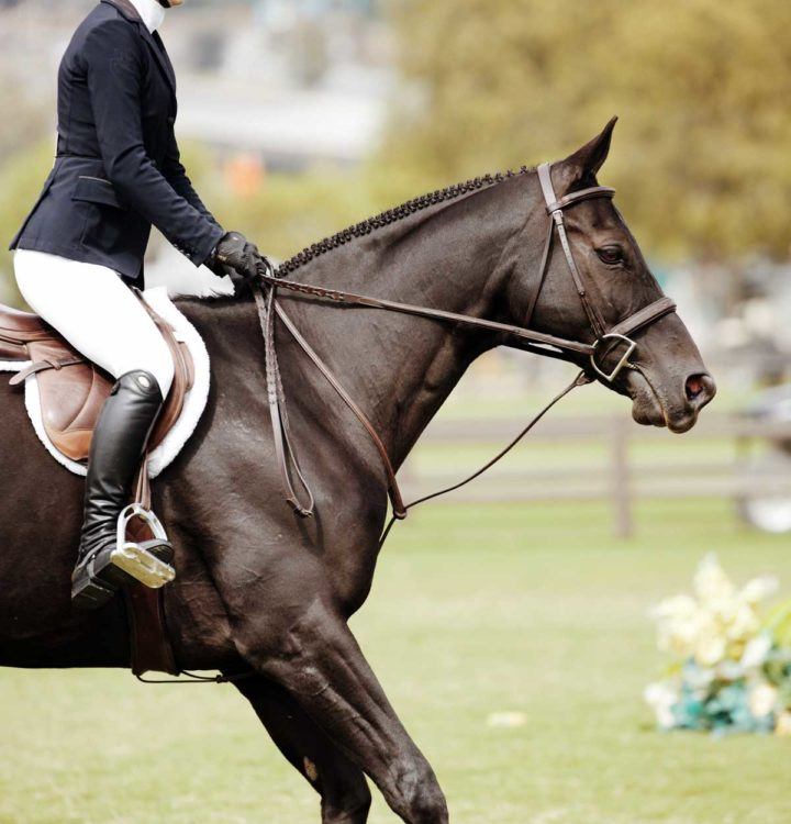 horse and rider during equestrian competition