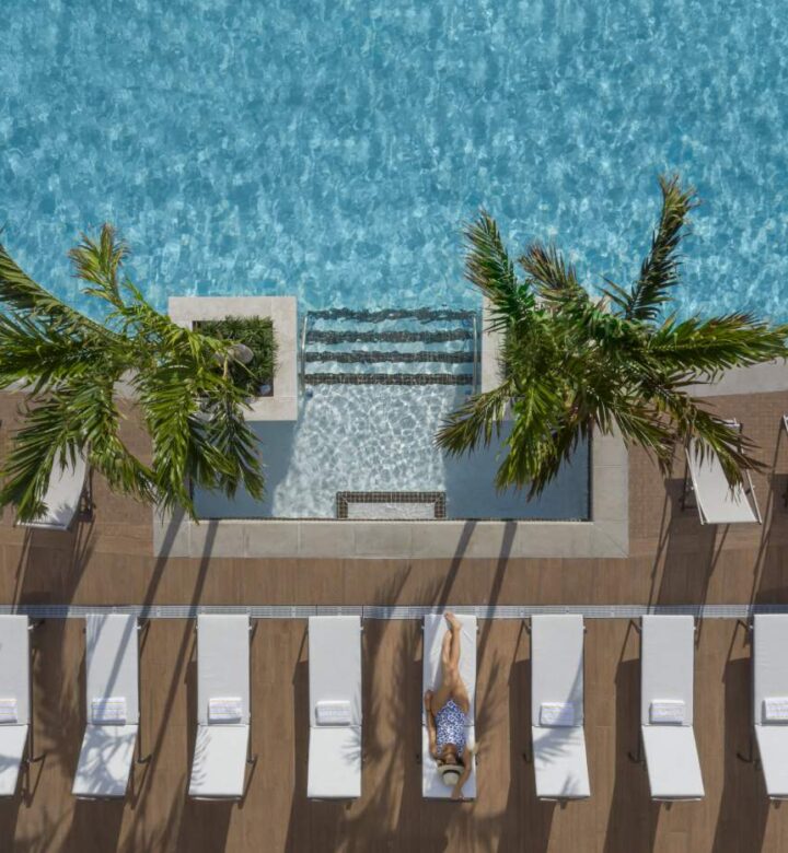 green palm tree near brown wooden fence