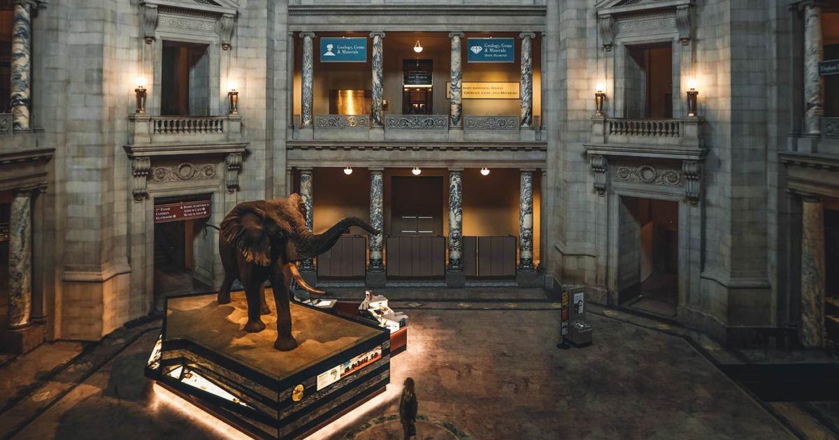 Attractions Guide - Things to do in Washington DC | Mayflower Hotel