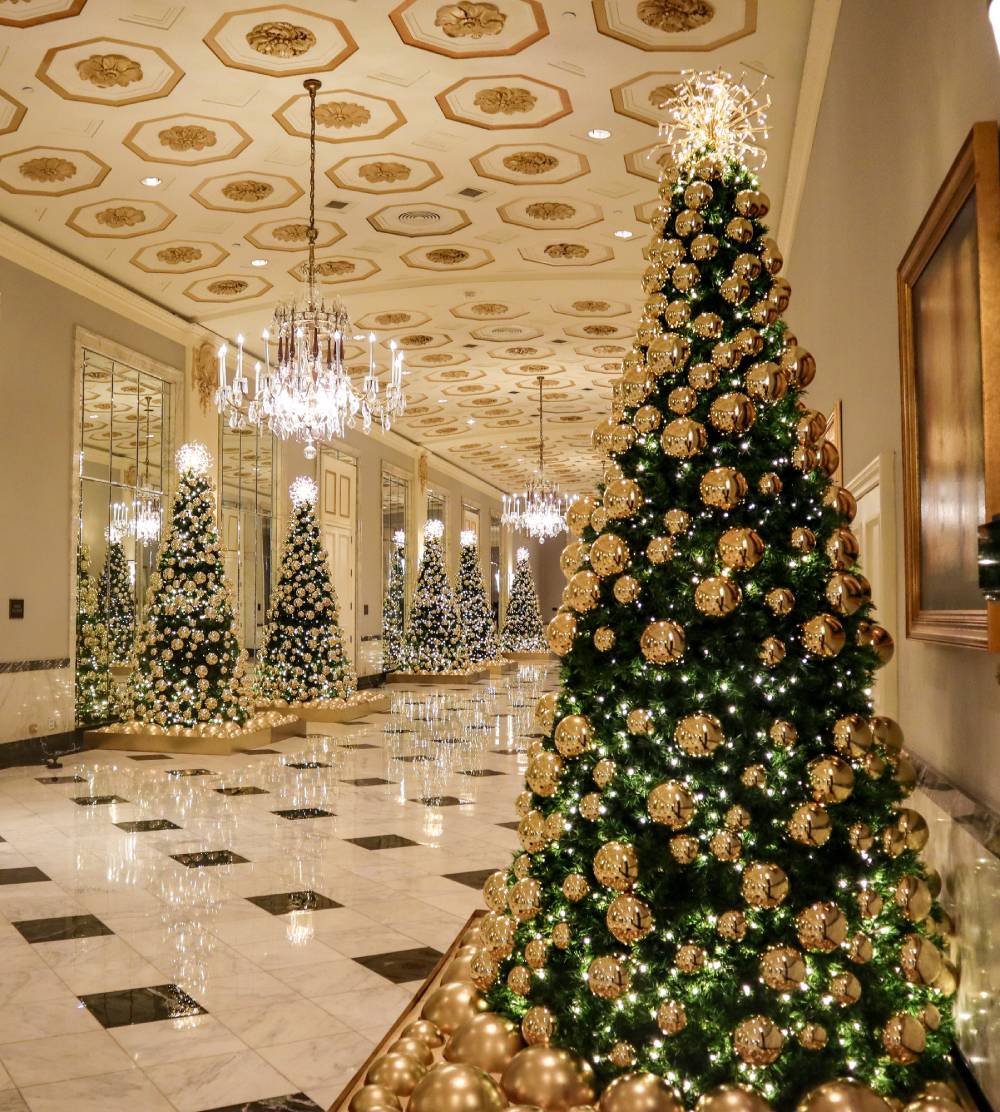 a christmas tree in the middle of a lobby