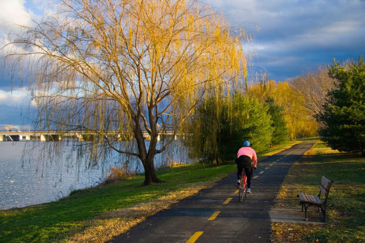 a person riding a bike down a path next to a lake
