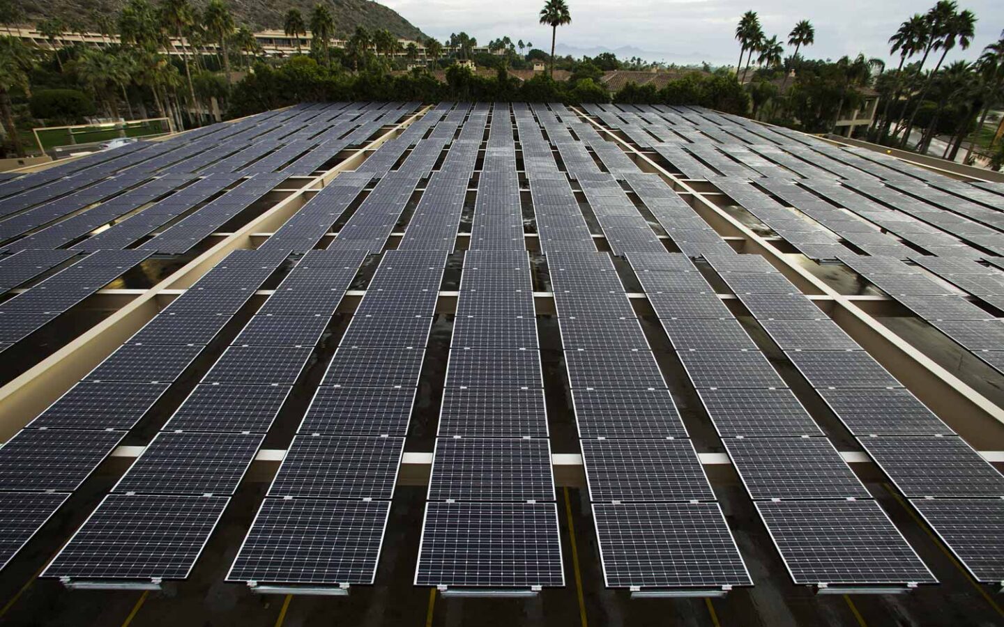 large array of solar panels at The Phoenician
