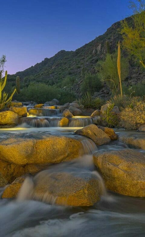 small waterfall surrounded by cacti at night
