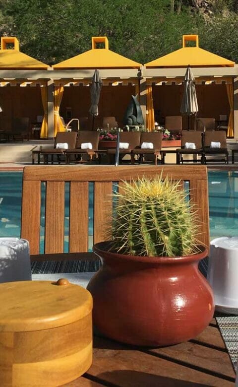 Canyon Grill table with white coffee cups and cactus in pot in front of pool with yellow cabanas in the background